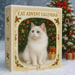 Adventní kalendář Kočičky 24 ks figurek