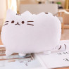 Plyšová mačička Pusheen ako vankúšik 25/40/50 cm