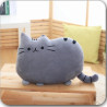 Plyšová kočička Pusheen jako polštářek 25/40/50 cm
