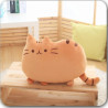Plyšová mačička Pusheen ako vankúšik 25/40/50 cm