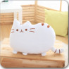 Plyšová mačička Pusheen ako vankúšik 25/40/50 cm