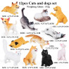 Indpls Zoo|oenux Animal Model Set - Pvc Action Figures For Kids & Collectors