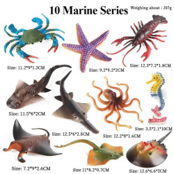 Indpls Zoo|oenux Animal Model Set - Pvc Action Figures For Kids & Collectors