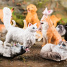 Indpls Zoo|oenux Animal Model Set - Pvc Action Figures For Kids & Collectors