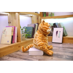 Cat Stuffed Animal Cute Kawaii | Cute Soft Cat Toy Kids | Fat Cat Plush Stuffed Toys - Stuffed & Plush Animals - Aliexpress