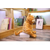 Cat Stuffed Animal Cute Kawaii | Cute Soft Cat Toy Kids | Fat Cat Plush Stuffed Toys - Stuffed & Plush Animals - Aliexpress