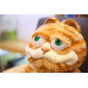 Cat Stuffed Animal Cute Kawaii | Cute Soft Cat Toy Kids | Fat Cat Plush Stuffed Toys - Stuffed & Plush Animals - Aliexpress
