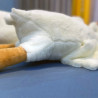 50/130CM Hot Goose Plush Stuffed Soft Duck Sleeping Pillow Sofa Cushio