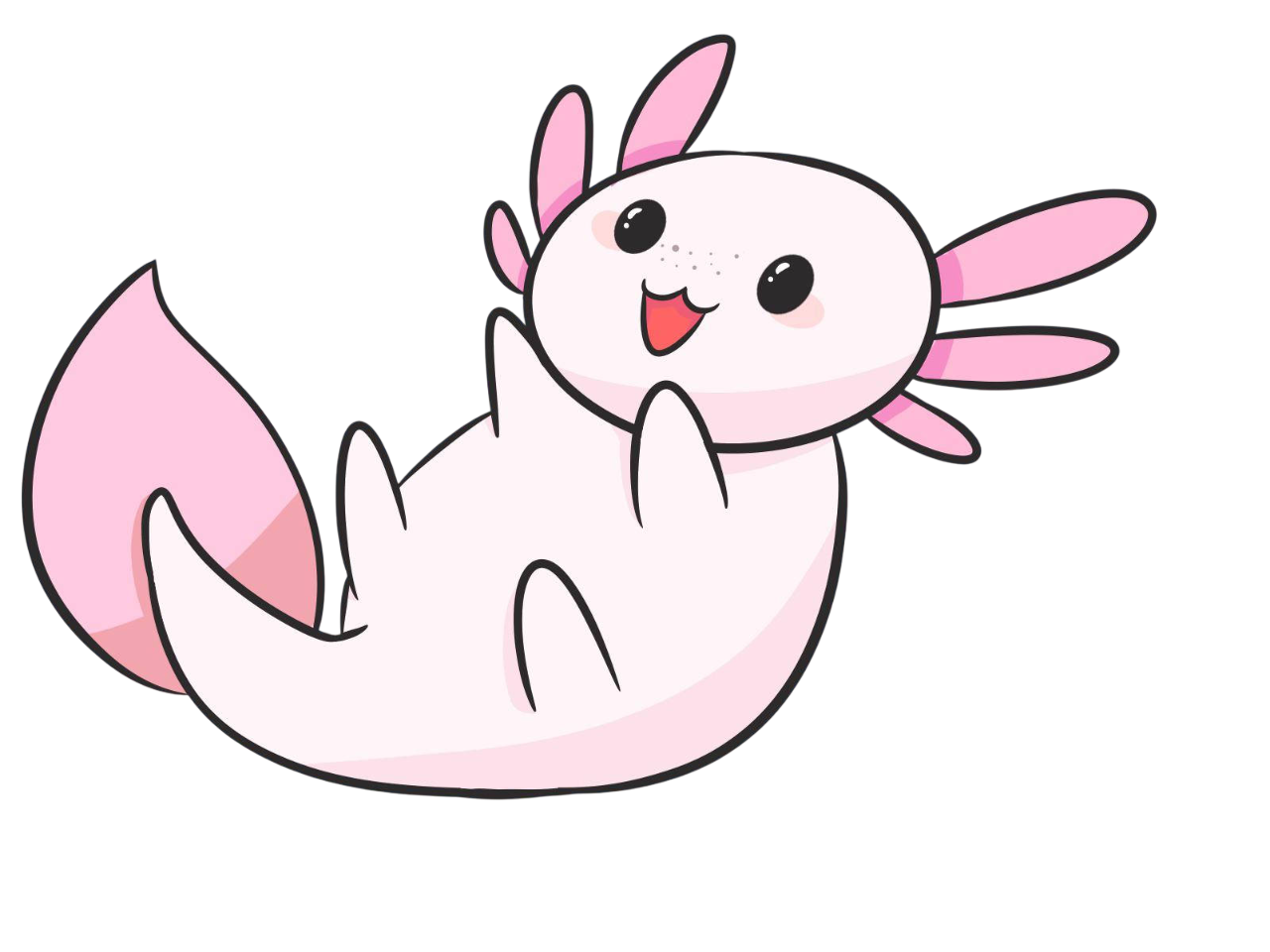 Axolotl